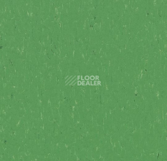 Линолеум Forbo Marmoleum Decibel on Order 364735 nettle green фото 1 | FLOORDEALER